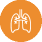 Pulmonology Respiratory Medicine