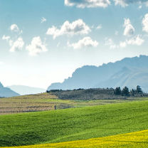 Sumit Yadav, Cardiologist Sumit Yadav, Cardiologist