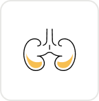 Electrolytes - Serum