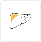 LFT (Liver Function) Test