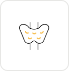 TSH Test (Thyroid Stimulating Hormone)