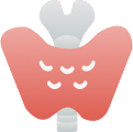 Thyroid Profile