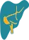 bannner image
