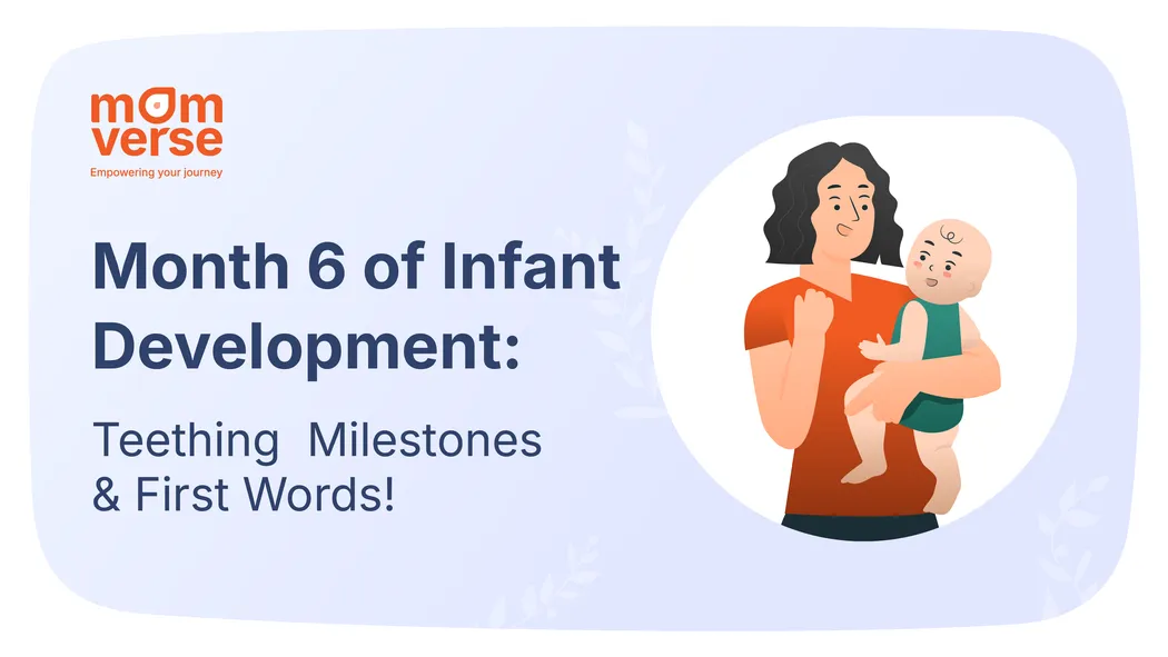 Month 6 of Infant Development: Teething  Milestones & First Words!