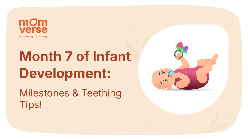 Month 7 of Infant Development: Milestones & Teething Tips!