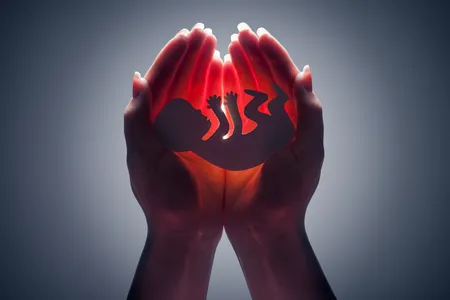 artricle image
