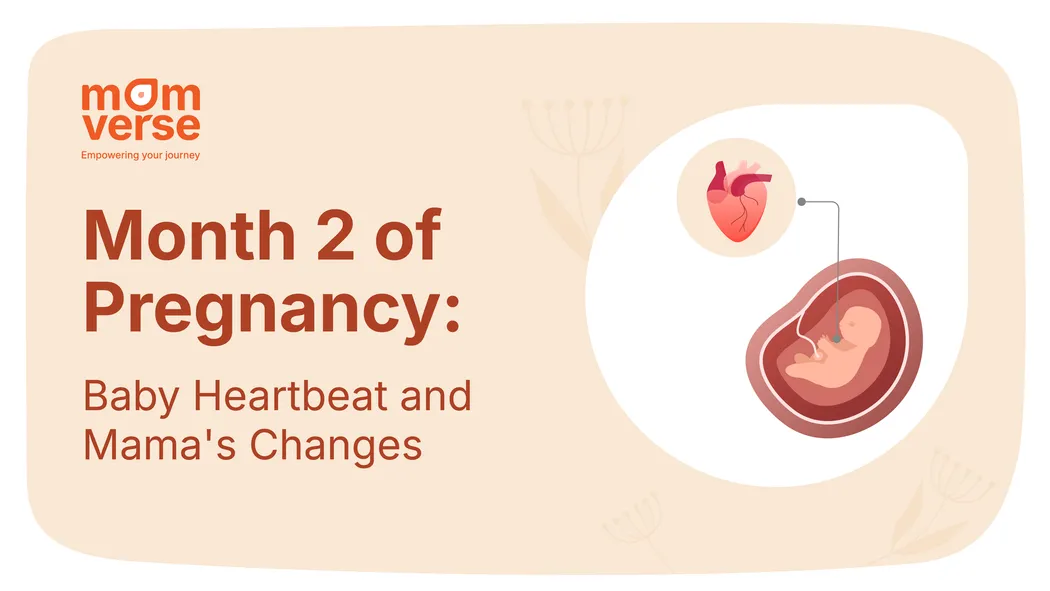 Month 2 of Pregnancy: Baby Heartbeat and Mama's Changes