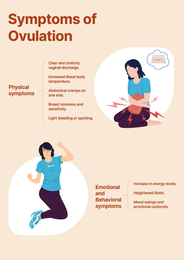 Ovulation signs 