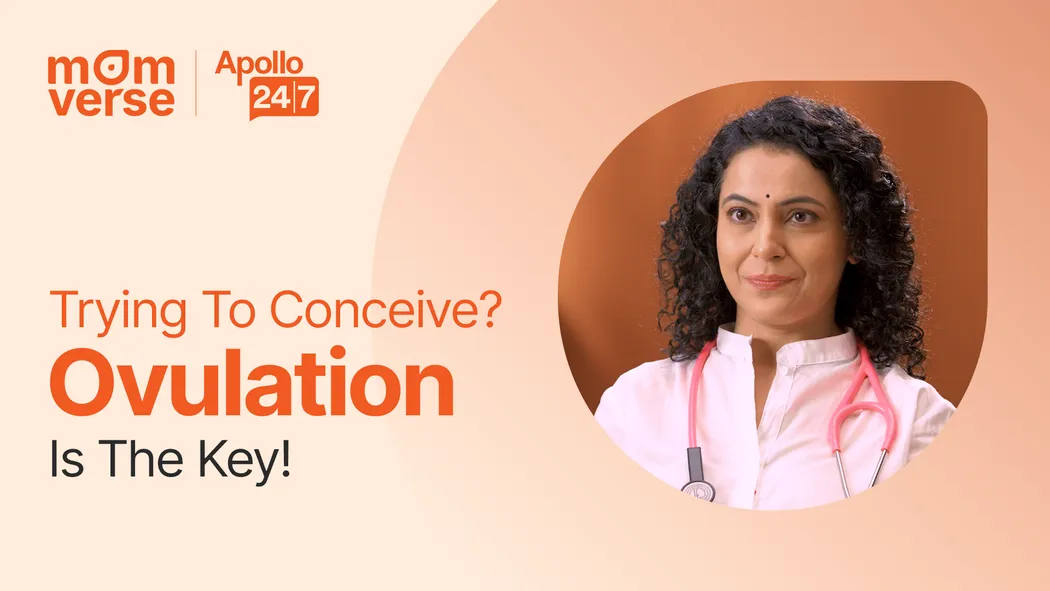 Ovulation & Fertility 101 | How to Track Your Cycle to Get Pregnant