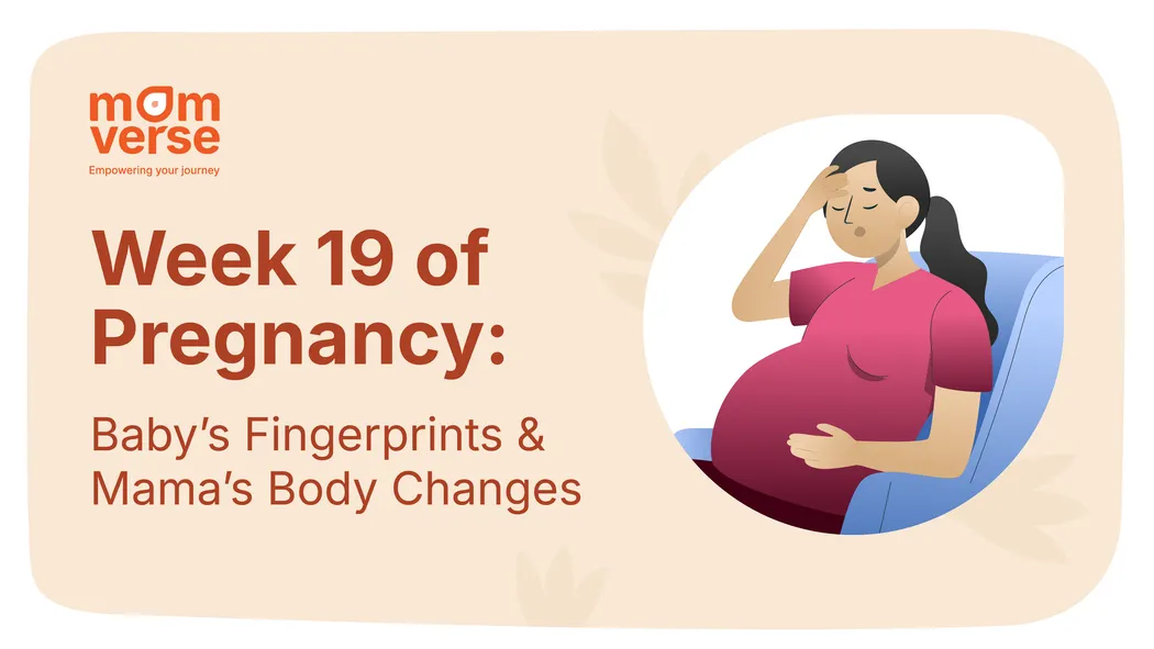 Week 19 of Pregnancy: Baby’s Fingerprints & Mama’s Body Changes
