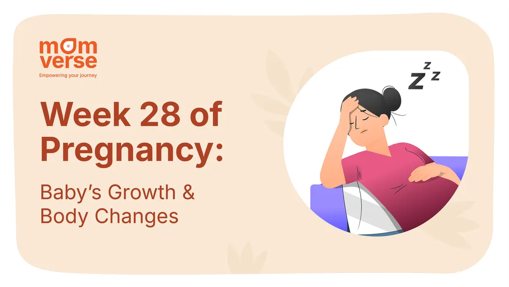 Week 28 of Pregnancy: Baby’s Growth & Body Changes