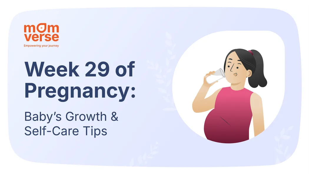 Week 29 of Pregnancy: Baby’s Growth & Self-Care Tips
