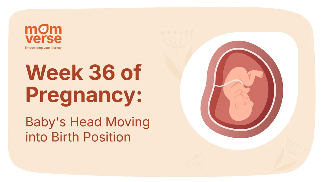 Week 36 of Pregnancy: Baby's Head Moving into Birth Position