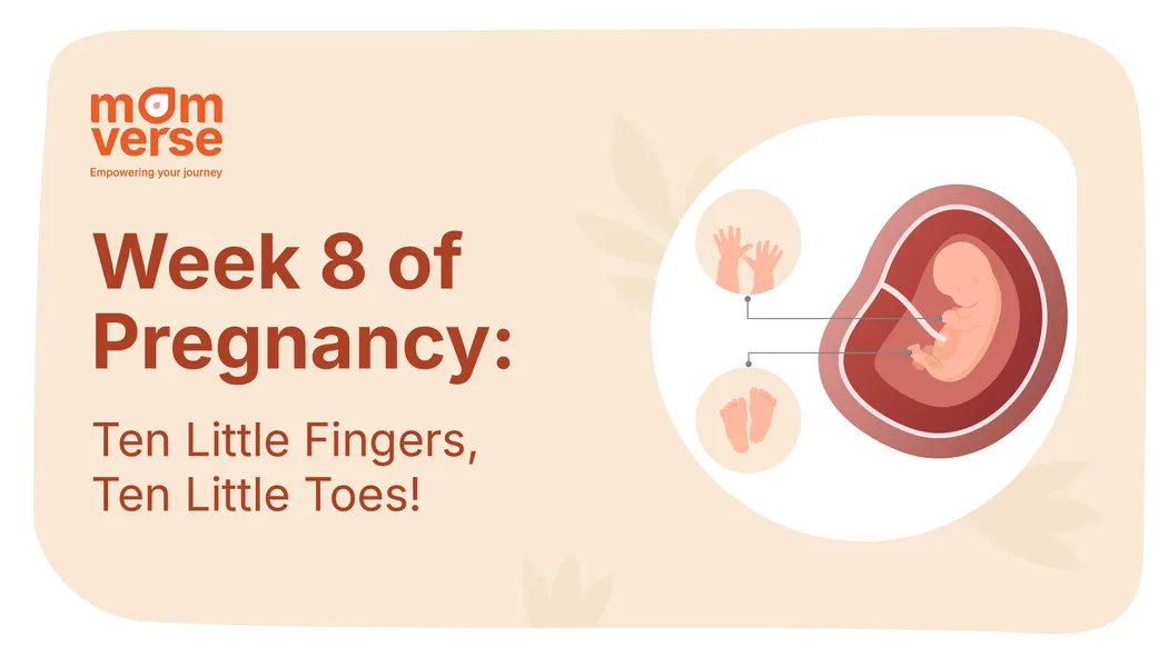 Week 8 of Pregnancy: Ten Little Fingers, Ten Little Toes!