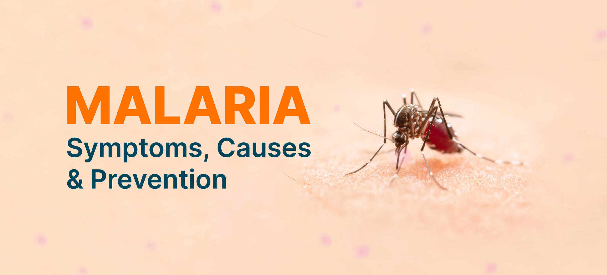 malaria_blog