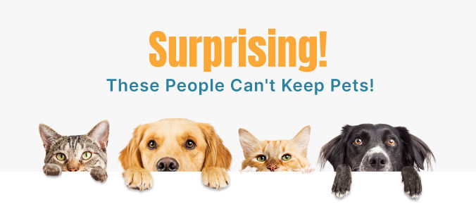 Can You Keep a Pet If You Have COPD?