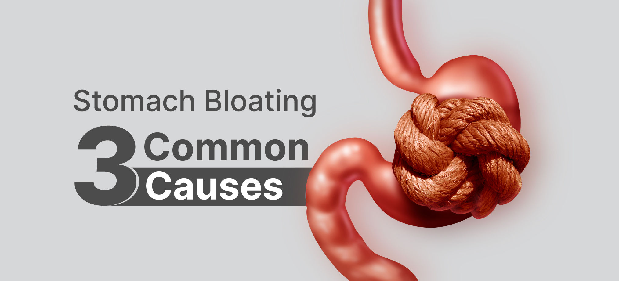 reasons-for-your-stomach-bloat