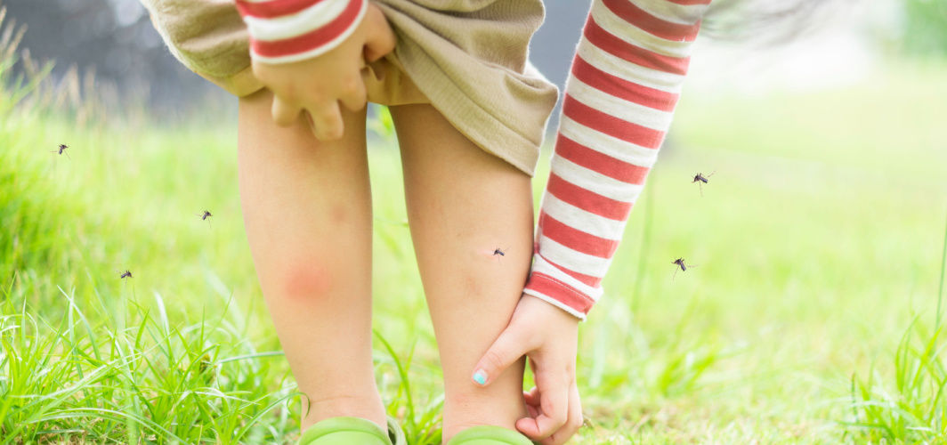 mosquito bites some people more