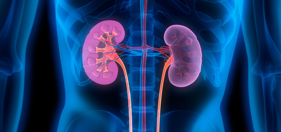 Diabetic Nephropathy