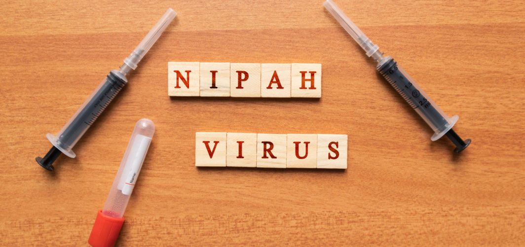 nipah virus