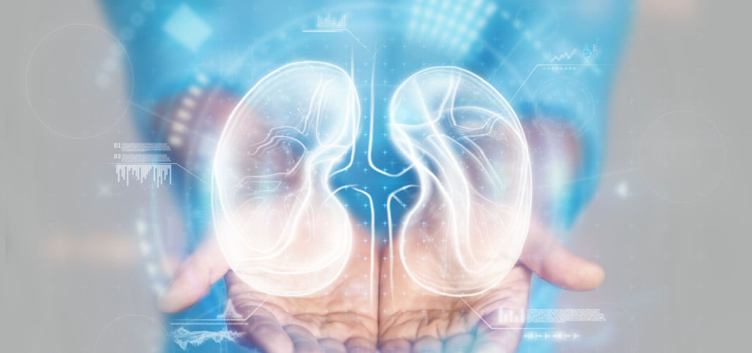 Diet and Nutrition Guide for Kidney Patients