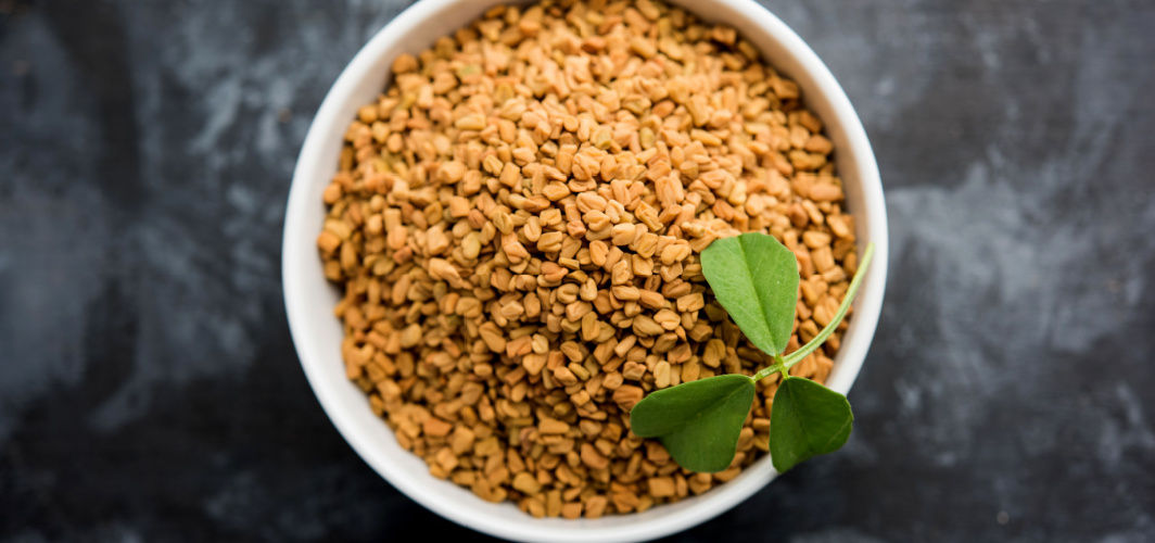 Master Diabetes Management with Methi Dana