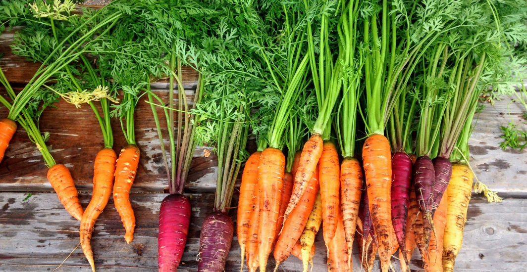 Are Carrots Good for Diabetes?