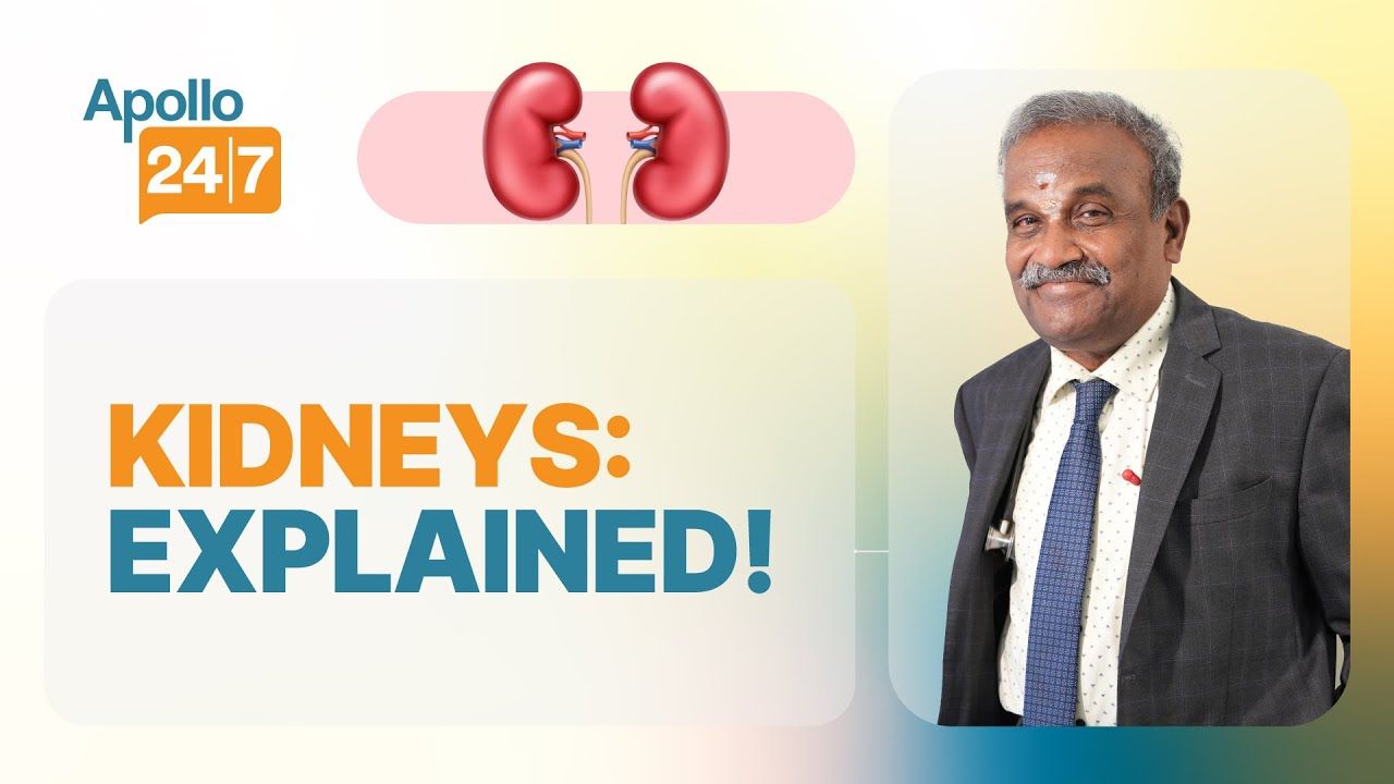 What Does a Kidney Do?