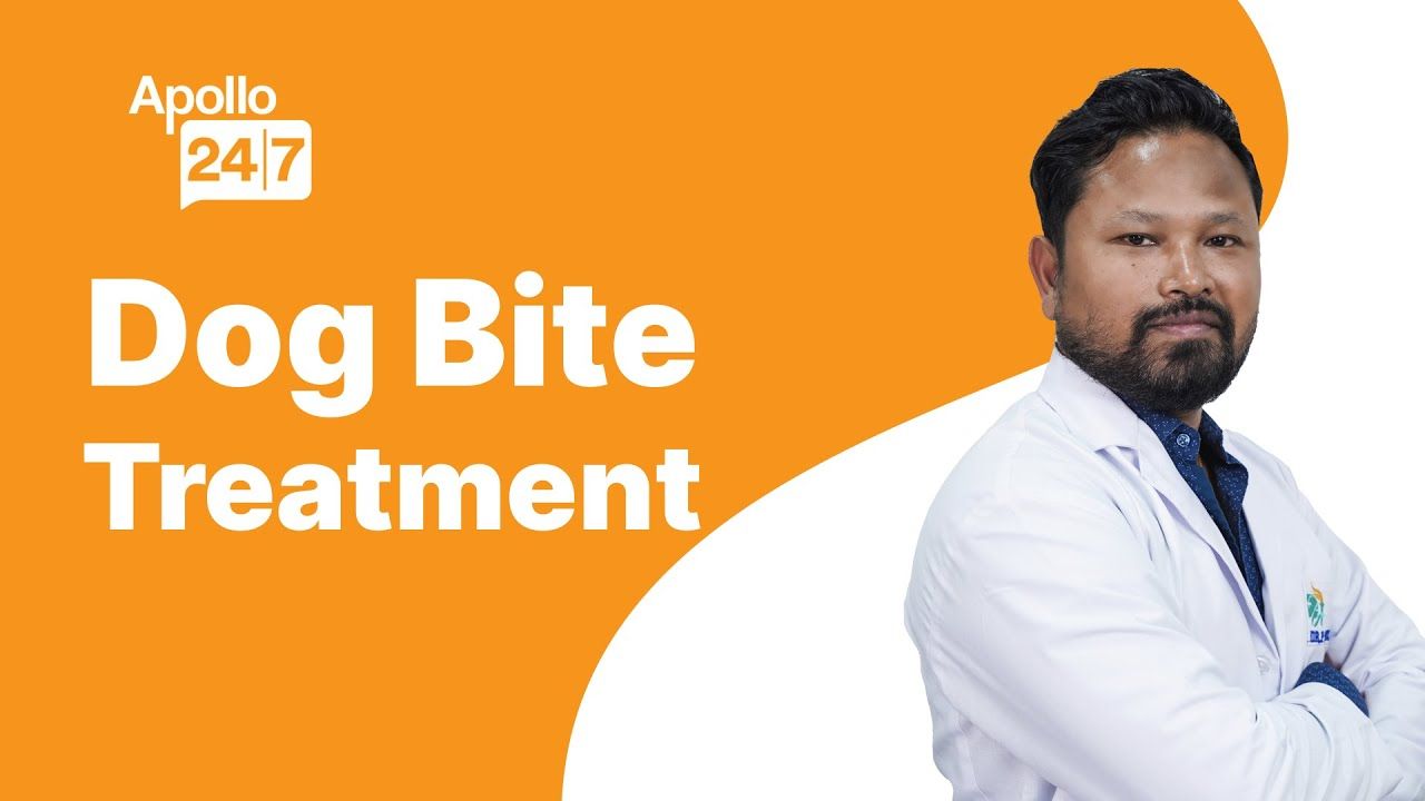 First Aid For a Dog Bite | Dr Partha Phukan | Apollo 24|7