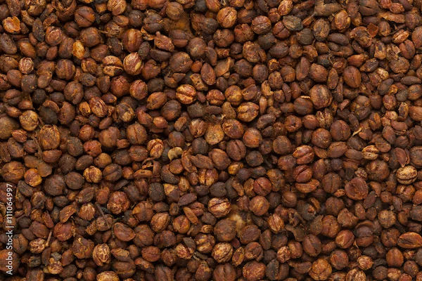 Jyotishmati Benefits