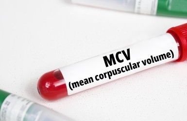 MPV Blood Test