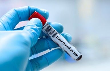 Liver Function Test