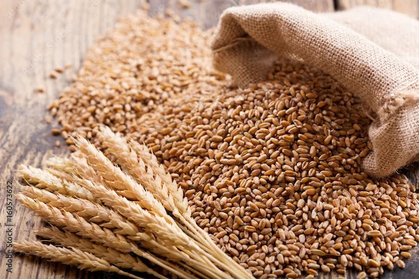 Wheat Benefits