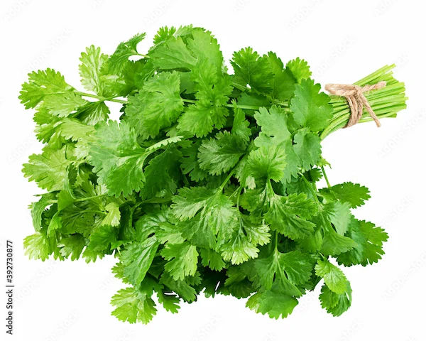 Coriander Benefits