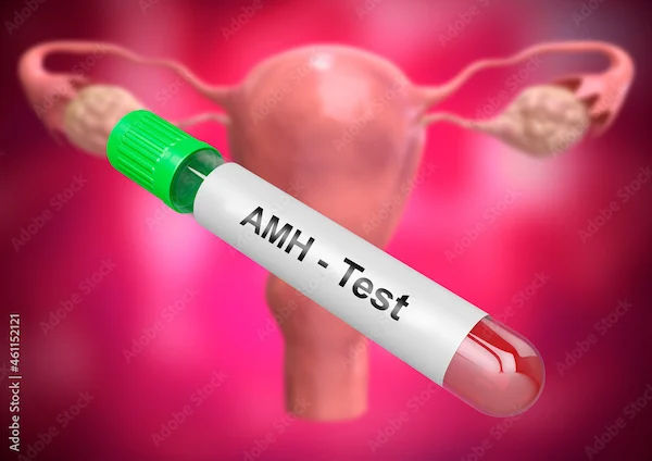 How To Increase Amh Levels In Ayurveda?
