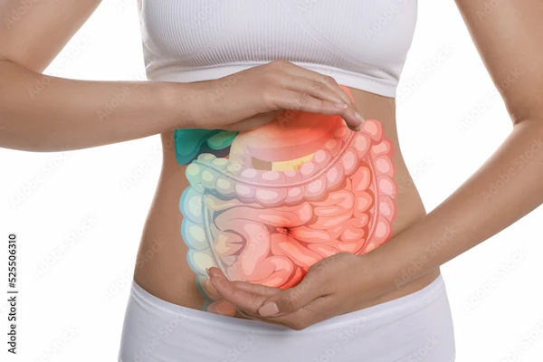 How to Reduce Metabolism?