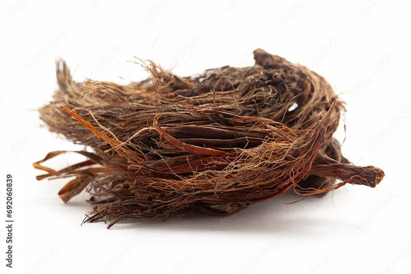 Benefits Of Jatamansi