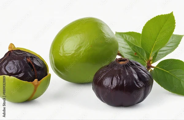 Benefits of Vrikshamla
