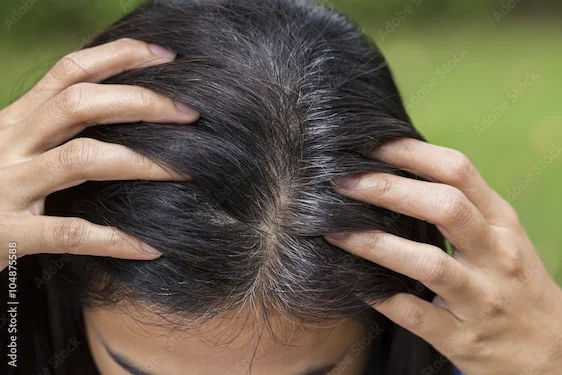 How To Reduce Grey Hair?