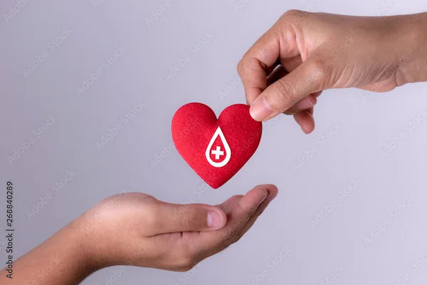 Blood Donation: All You Need To Know