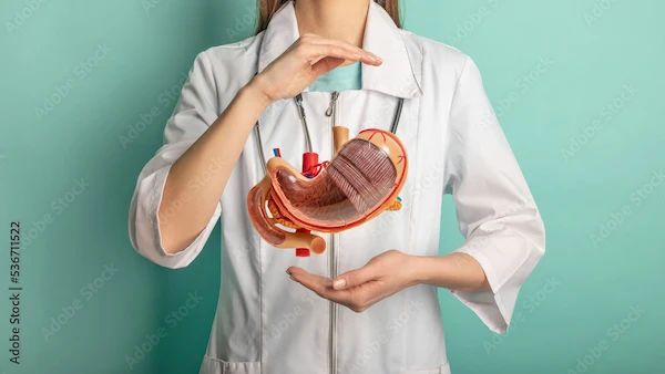 What To Eat 6 Weeks After Gastric Bypass Surgery?