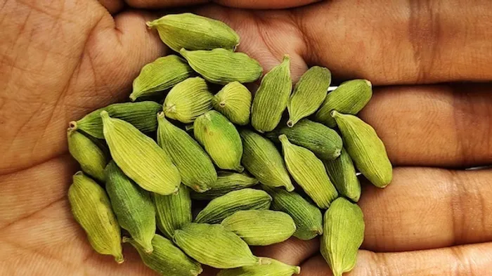 Choti Aradi