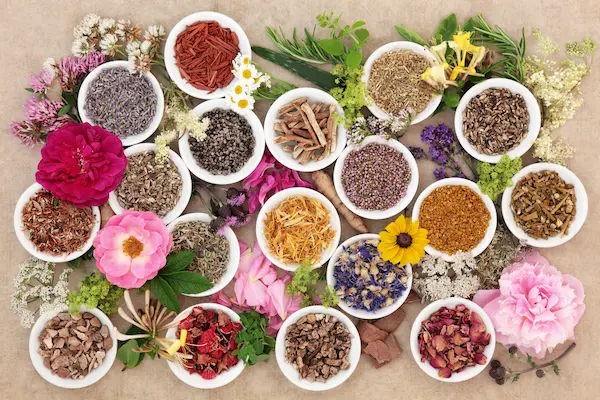 Benefits of Asthisanhar