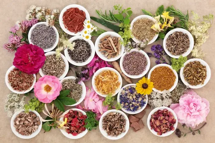 Benefits of Asthisanhar
