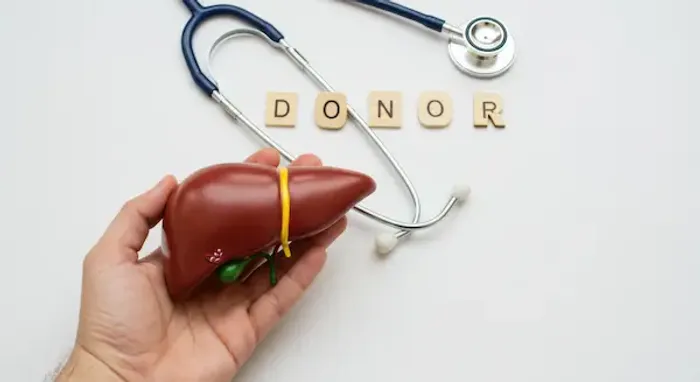Life After Liver Transplant For Donor