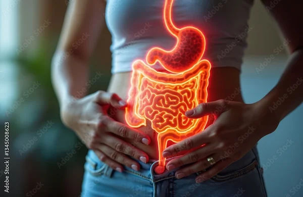 Gut Health Supplements: Benefits and Options