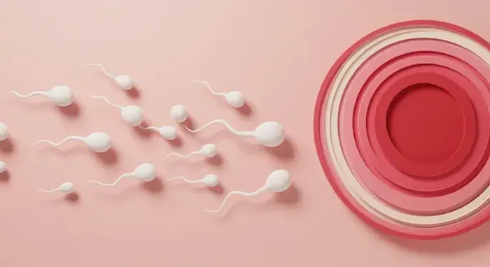 Increase Sperm Morphology