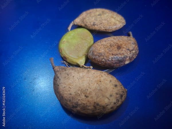 Karanj Benefits