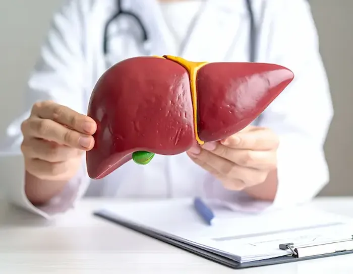 Liver Transplant Last In Adults