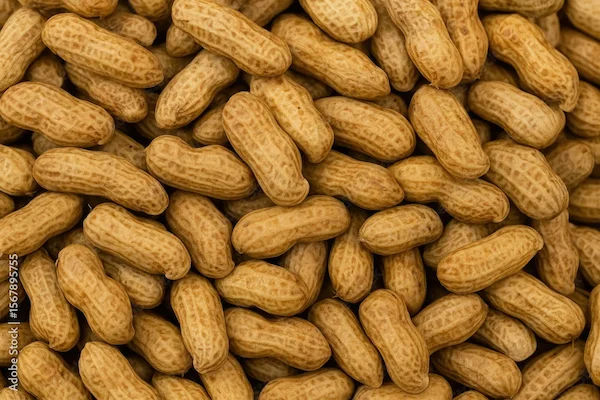 Boiled Peanuts Protein Content per 100g